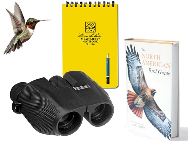 collection of birdwatching equipment