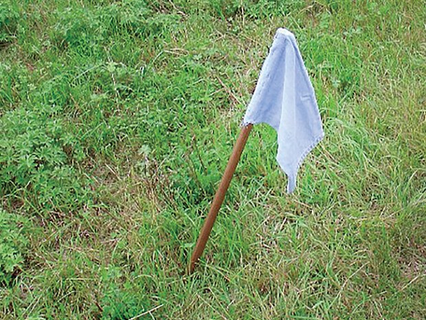 a flag stuck in the ground