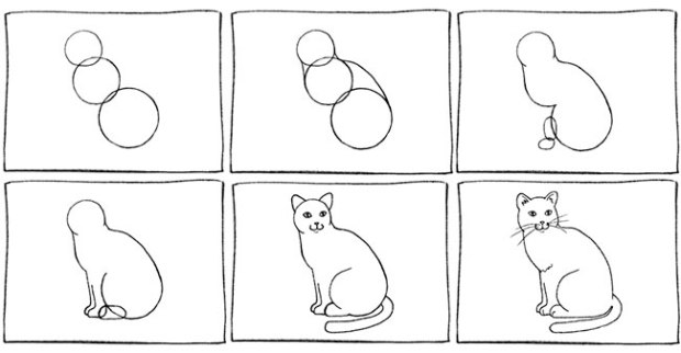 how to draw a realistic cat