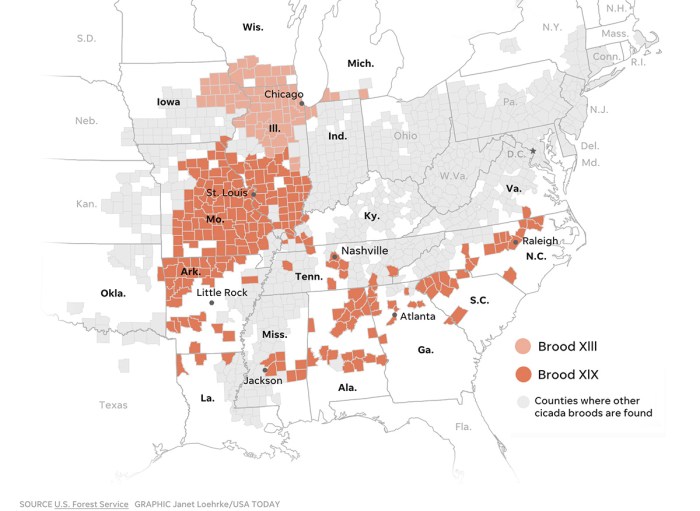 Map of emerging broods of cicadas