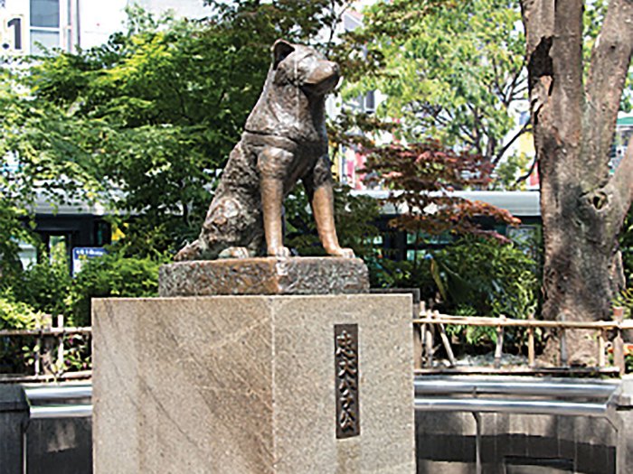 statue of Hachikō in Tokyo