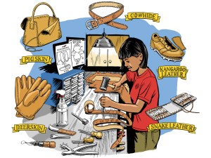 illustration with the 5 types of leather