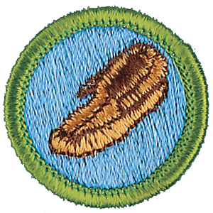 leatherwork merit badge patch