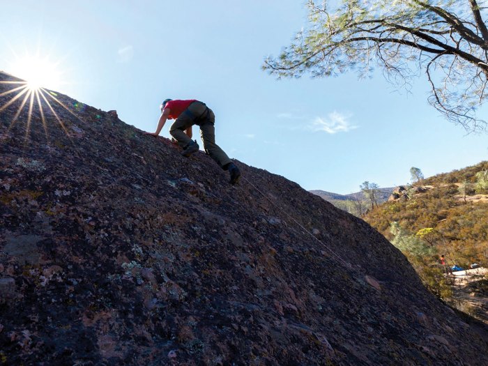 Scout nears the top