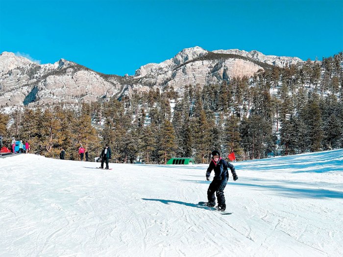 scout skiing down a hill